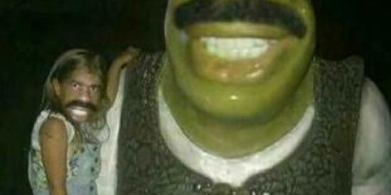 Imagem do grupo de WhatsApp SHITPOST 🤡🐦