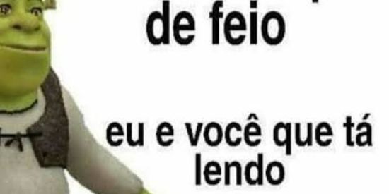 Imagem do grupo de WhatsApp voa mlk👌