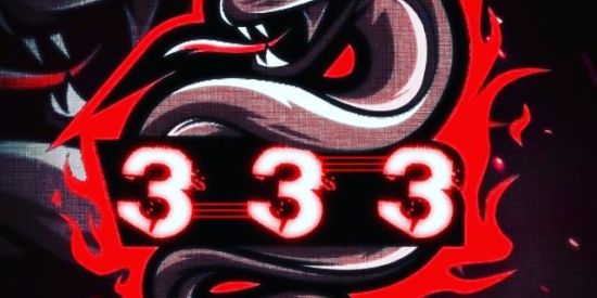 Imagem do grupo de WhatsApp PENEIRA 333