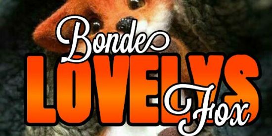 Imagem do grupo de WhatsApp 12♚lv's♚▪︎ƒσx🦊