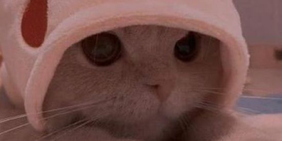 Imagem do grupo de WhatsApp 🪄😳Amizades DDD 42🪄😳