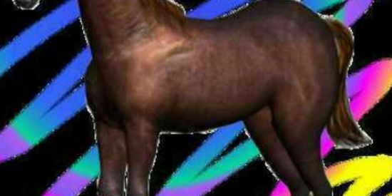 Imagem do grupo de WhatsApp Shit musk+