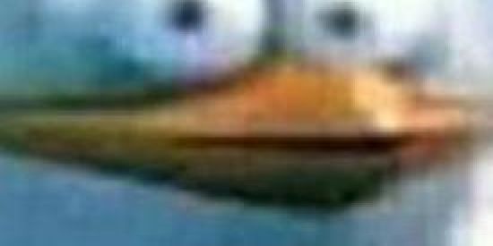 Imagem do grupo de WhatsApp GRUPO DE SHIPOSTER