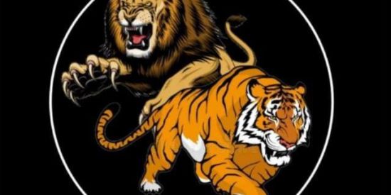 Imagem do grupo de WhatsApp EMPIRE OF NATURE