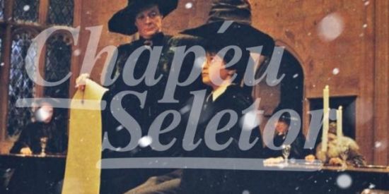 Imagem do grupo de WhatsApp 💫 Chapéu Seletor💫