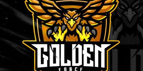Imagem do grupo de WhatsApp Xtreino GOLDEN   FORCE  🦅