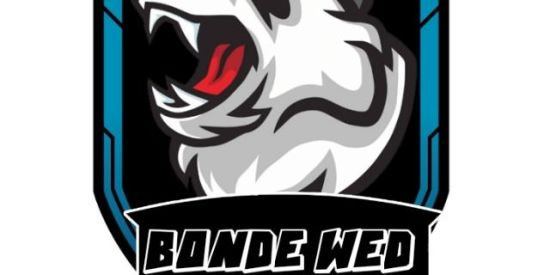 Imagem do grupo de WhatsApp Triagem || 1•6 ♕•WED•♕