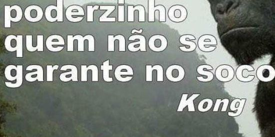 Imagem do grupo de WhatsApp tropa o king 🦍🦍