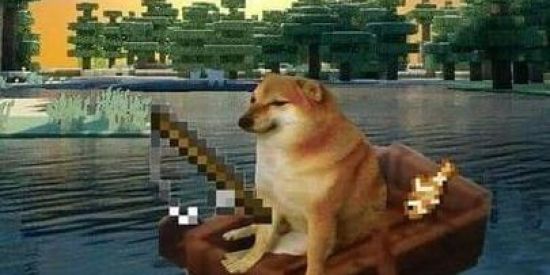 Imagem do grupo de WhatsApp shitpost edits 🌹