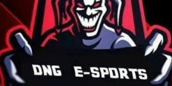 Imagem do grupo de WhatsApp DNG E_SPORTS