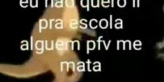 Imagem do grupo de WhatsApp ×Escola de Doentes mentais×