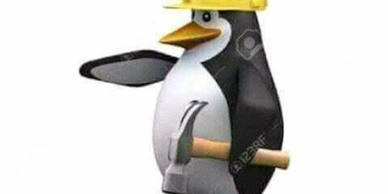 Imagem do grupo de WhatsApp Shitpost de qualidade🤏🏼😎