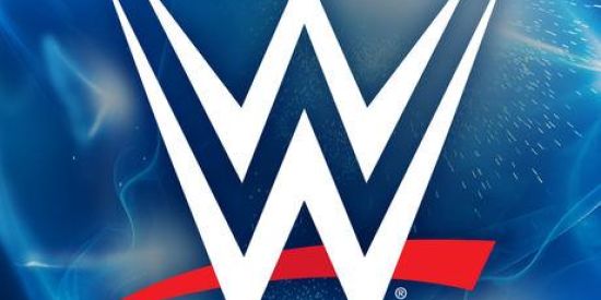 Imagem do grupo de WhatsApp 🔰 WWE UNIVERSE 🔰