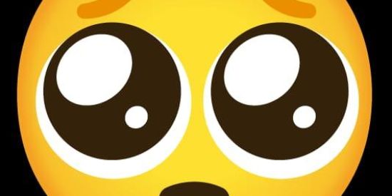 Imagem do grupo de WhatsApp MACACOS 🐒🐒