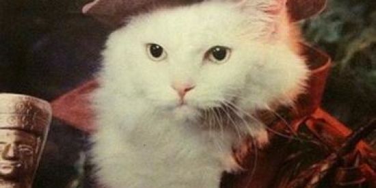 Imagem do grupo de WhatsApp Grupo para criança e pré adolecente