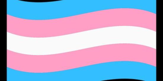 Imagem do grupo de WhatsApp Trans belas🏳‍⚧