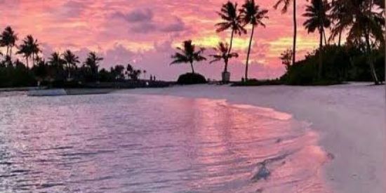 Imagem do grupo de WhatsApp home 🌙💘🌷