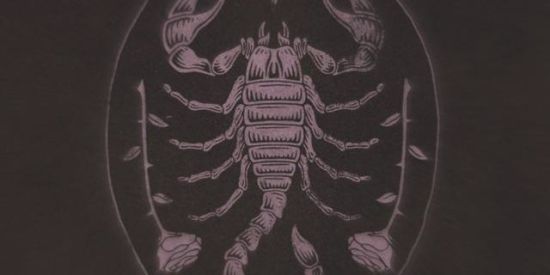 Imagem do grupo de WhatsApp ΔMΔKYRቾOUS