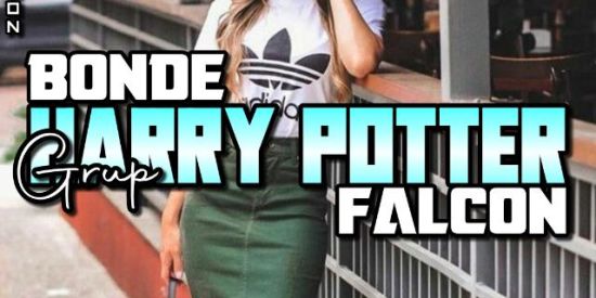 Imagem do grupo de WhatsApp 1✨12|🧙‍♂️Нαяяу Pσттєя🧙‍♂️ ♚FC'ร♚