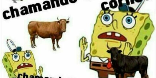 Imagem do grupo de WhatsApp FIGURINHA DOS CORNO🤡🐂