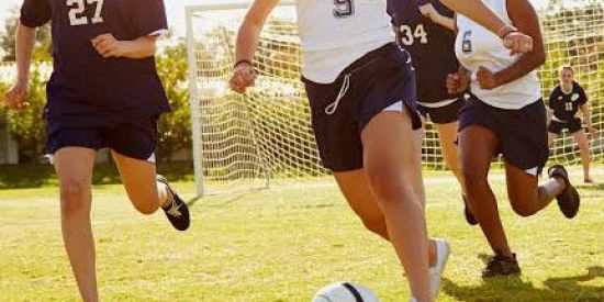 Imagem do grupo de WhatsApp Passeios e eventos BABY-PRO