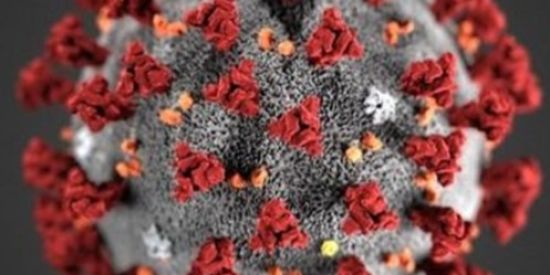 Imagem do grupo de WhatsApp Tropa do Tupã