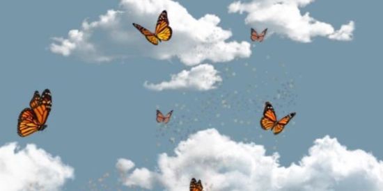 Imagem do grupo de WhatsApp Recepção💛🌻