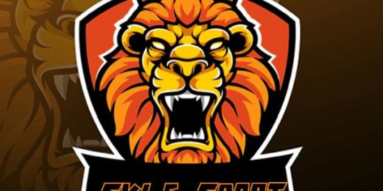 Imagem do grupo de WhatsApp SKL E-SPORT