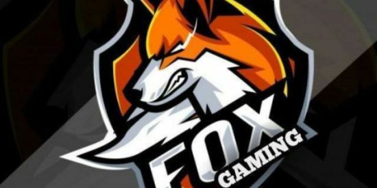 Imagem do grupo de WhatsApp XTREINO DA FOX 🦊🦊