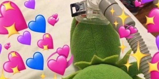 Imagem do grupo de WhatsApp ꧁Arca De Noé, E os Bastardos꧂