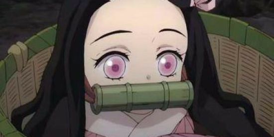 Imagem do grupo de WhatsApp Reçepção