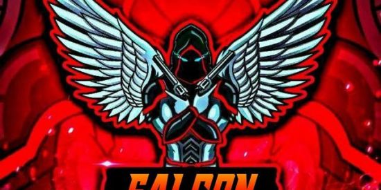 Imagem do grupo de WhatsApp 🦅 RECRUTAMENTO FALCON🦅