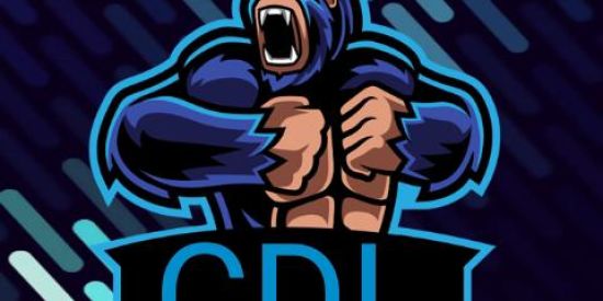 Imagem do grupo de WhatsApp CDL