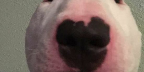 Imagem do grupo de WhatsApp Grupo calado 😒😒🙁