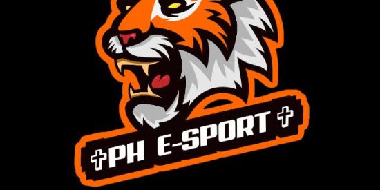 Imagem do grupo de WhatsApp ✞PH E-SPORT✞