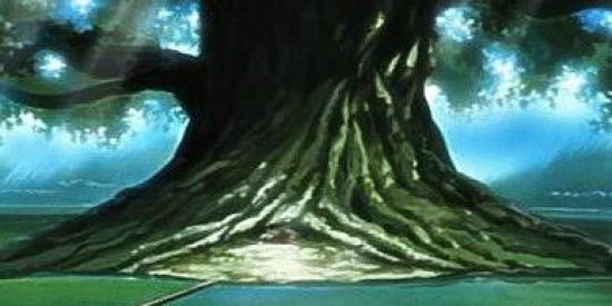 Imagem do grupo de WhatsApp ⛲Recrutamento Takigakure💦