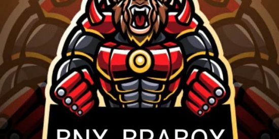 Imagem do grupo de WhatsApp Recrutamento  BNX_BRABOX