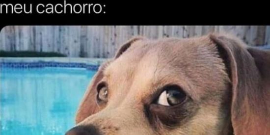 Imagem do grupo de WhatsApp Amizades Brasília df
