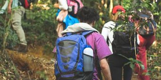 Imagem do grupo de WhatsApp Mochileiros 🎒🍃