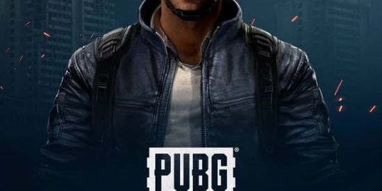 Imagem do grupo de WhatsApp PUBGM NS - M Community