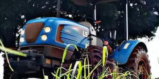 Imagem do grupo de WhatsApp Agro-rural 🚜🇧🇷🌱