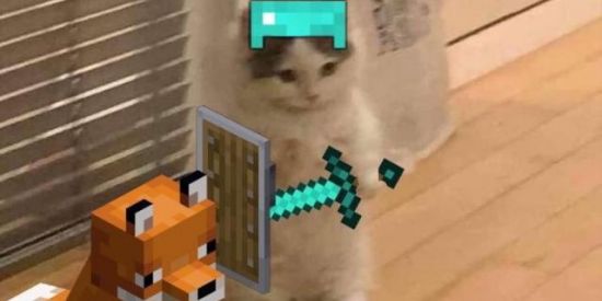 Imagem do grupo de WhatsApp SHITPOST🔺     H     $