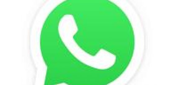 Imagem do grupo de WhatsApp Divulgue seu Instagram 😎