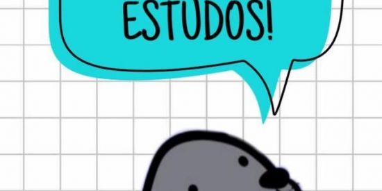 Imagem do grupo de WhatsApp Amizade entre livros 1°