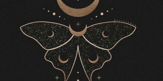 Imagem do grupo de WhatsApp 🔥 🌱 Bruxaria Natural ☁ 💧