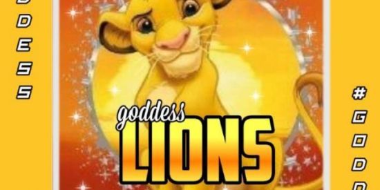 Imagem do grupo de WhatsApp TRIAGEM/BONDE GES