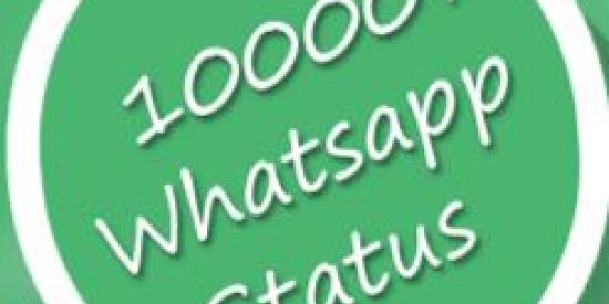 Imagem do grupo de WhatsApp BOOOMBA💣💥 STATUS 💥