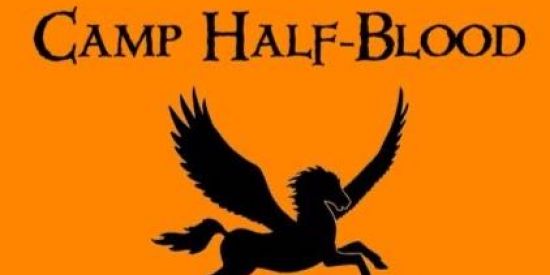 Imagem do grupo de WhatsApp ACAMPAMENTO MEIO SANGUE ⚔️