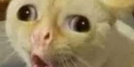 Imagem do grupo de WhatsApp FIGURINHAS 😎😏