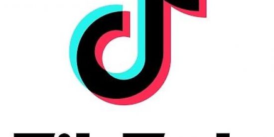 Imagem do grupo de WhatsApp TikTok 👉👈